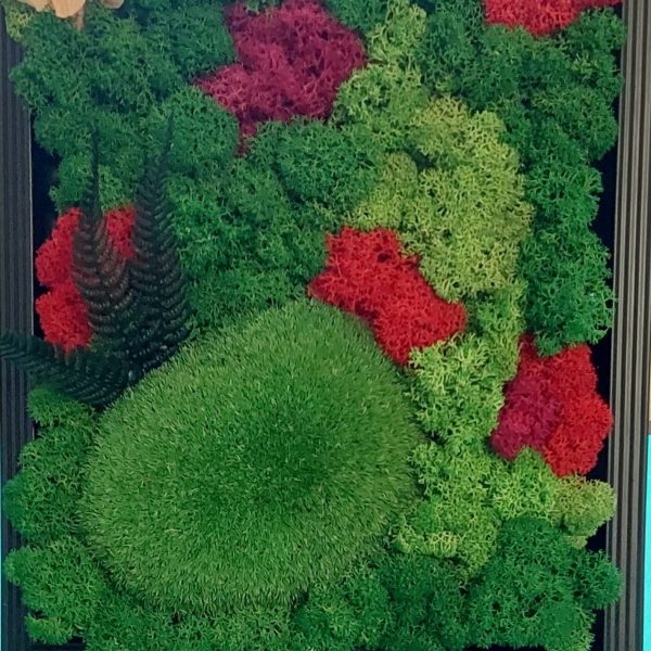 Tablou cu licheni stabilizați, mușchi bombat și plante criogenate (ferigă și hortensie)