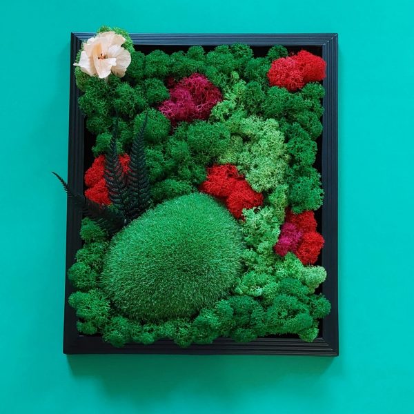 Tablou cu licheni stabilizați, mușchi bombat și plante criogenate (ferigă și hortensie)