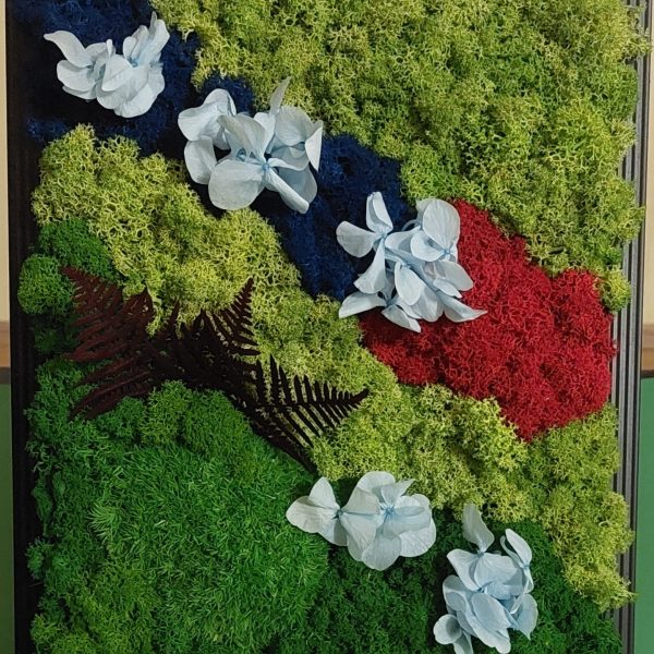 Tablou cu licheni stabilizați, mușchi bombat și plante criogenate (ferigă și hortensie )