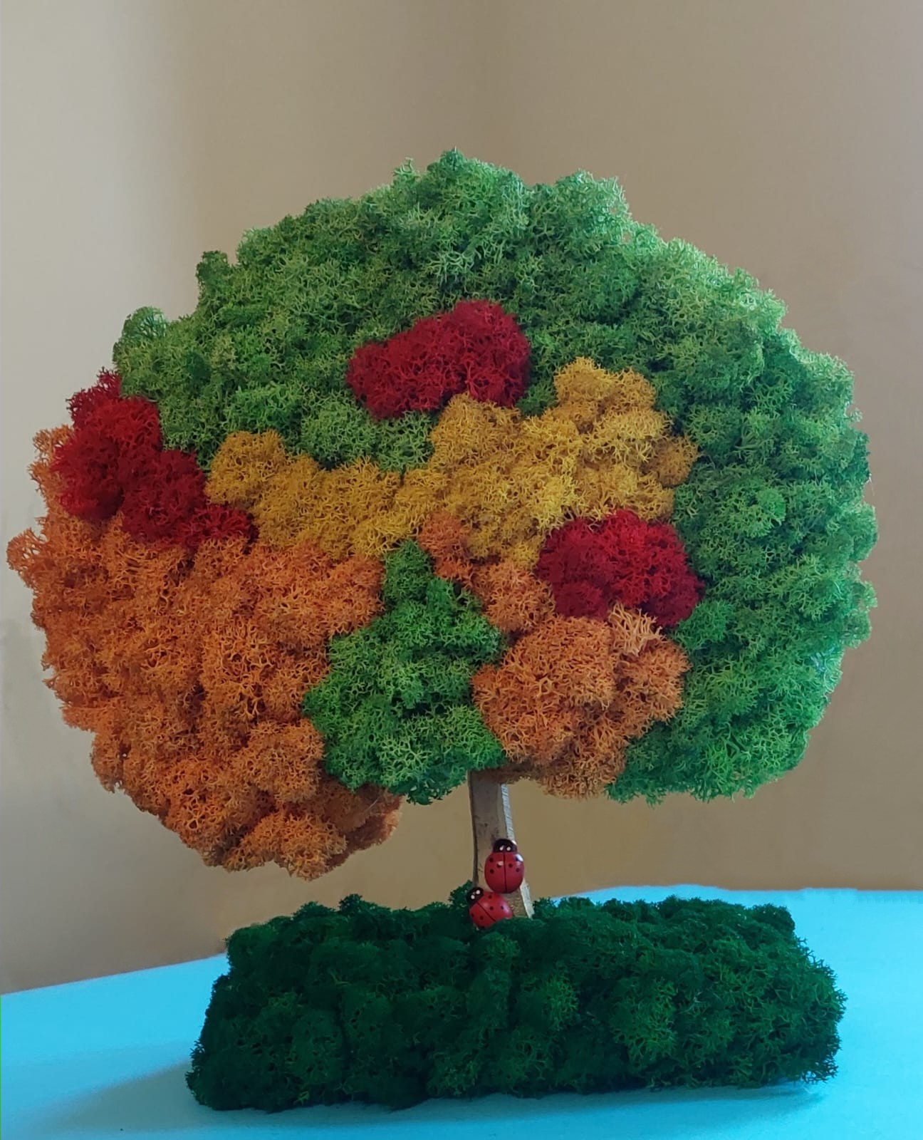 Copac decorat cu licheni stabilizați