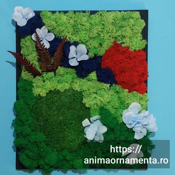 Tablou cu licheni stabilizați, mușchi bombat și plante criogenate (ferigă și hortensie )