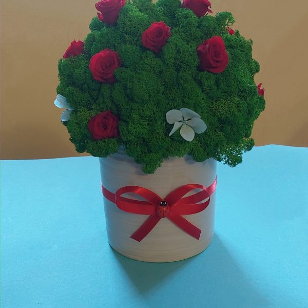 Ghiveci decorativ cu licheni stabilizați și flori criogenate (trandafiri și hortensie)