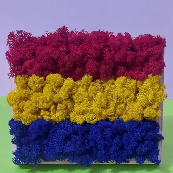 ,, Vivat, România!” – tablou cu licheni stabilizați