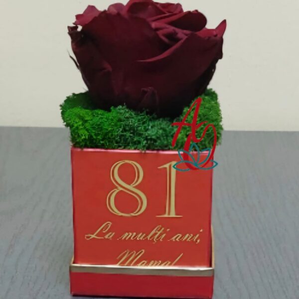 Trandafir criogenat pe pat de licheni stabilizați personalizat